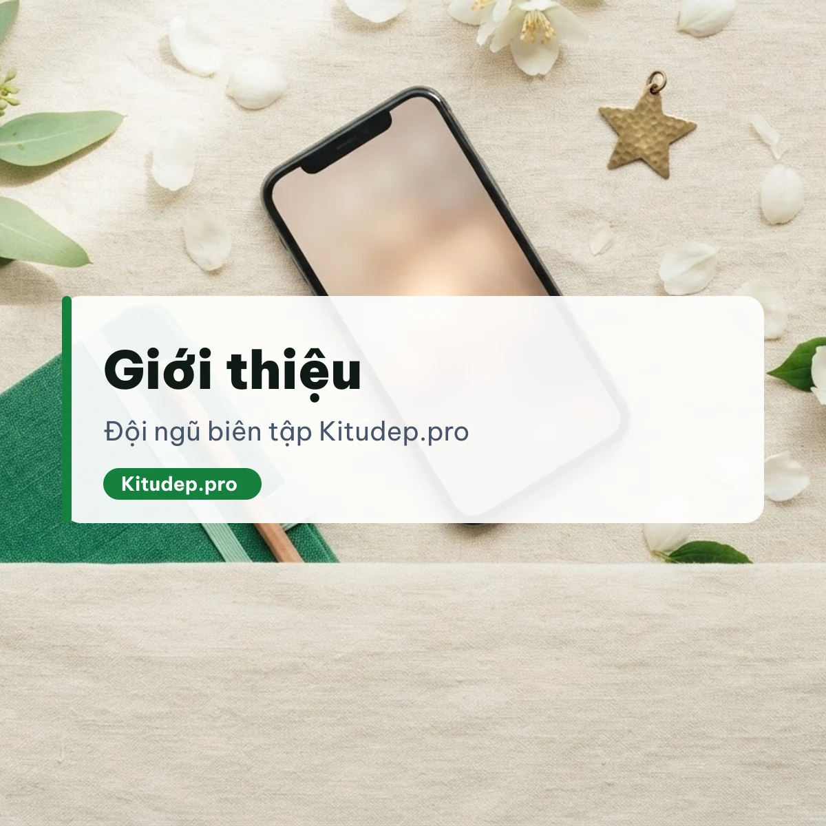Giới thiệu Kitudep.pro
